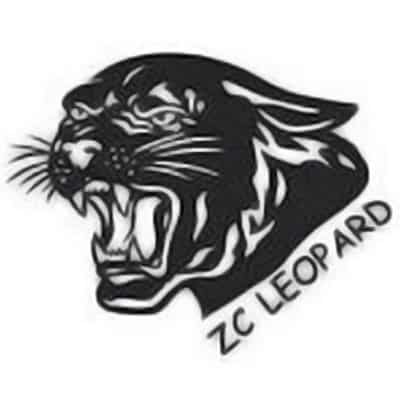 ZCI