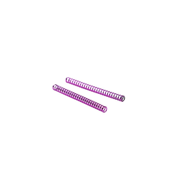 Waldo Dynamics AAP-01 / Glock Series "Ion" Nozzle Springs