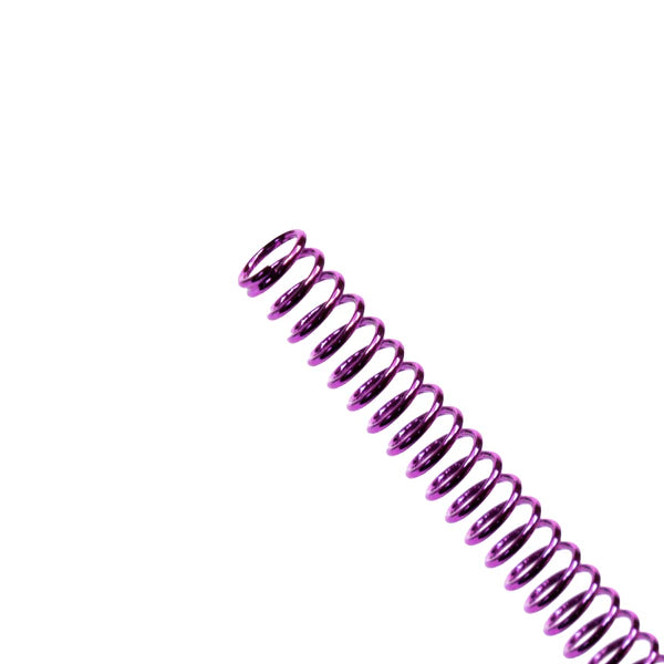 Waldo Dynamics AAP-01 "Ion" Recoil Spring